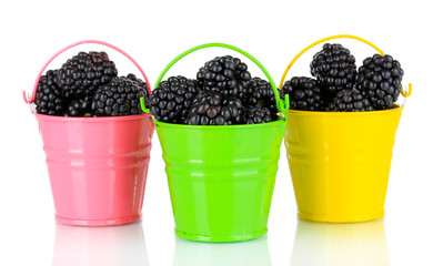 Sweet blackberries in buckets isolate on white