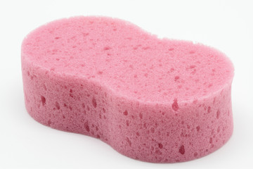 sponge