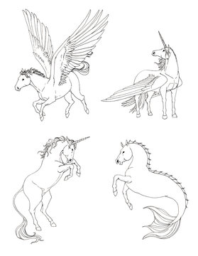 Fantasy horse collection set in black and white drawing
