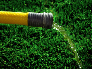 Hose on Green Grass