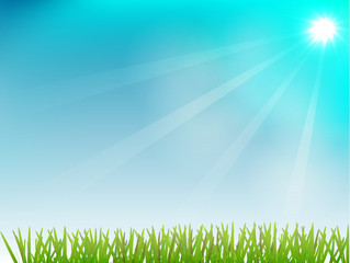 Obraz premium sunny summer sky and grass. Vector illustration.