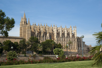 Fototapeta premium La Seu