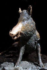 Florence, Fountain of the Piglet