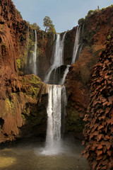 Fototapeta premium Waterfalls of Ouzoud, Morocco