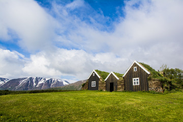 Fototapeta na wymiar Icelandic green roof houses