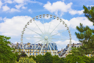 Paris, Ferris wheel.