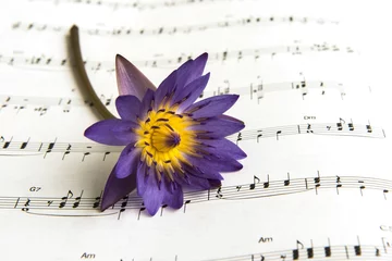 Papier Peint photo fleur de lotus lotus flowers on musical background