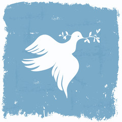 Peace dove wallpaper in grunge frame