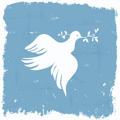 Fototapeta premium Peace dove wallpaper in grunge frame