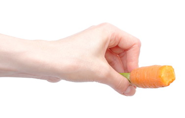 Hand with orange carrots isolated on white background