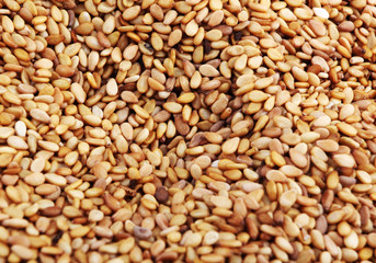 sesame seeds