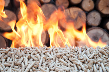 Pelllets- biomass
