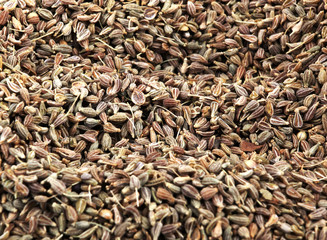 aniseed background