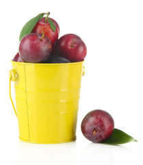 Ripe plums in pail isolated on white