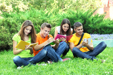 Fototapeta premium Happy group of young students sitting on meadow