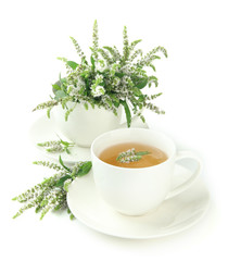 Cup of herbal tea with fresh mint flowers isolated on white