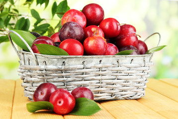 Ripe plums in basket on wooden table on natural background