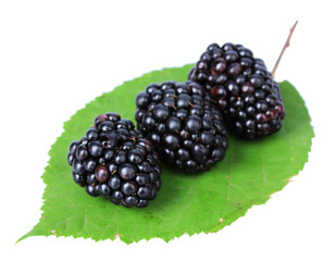 Sweet blackberries isolate on white