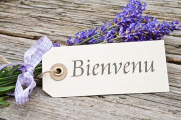 Naklejka premium bienvenu