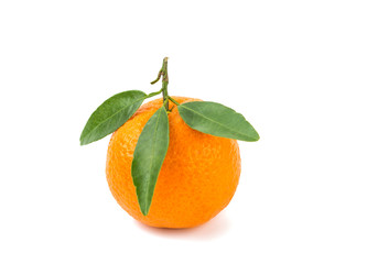 tangerine isolated