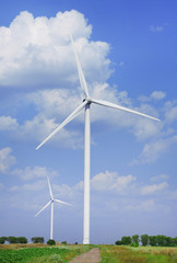 Fototapeta premium Windmills field