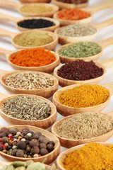 Assortment of spices in wooden spoons
