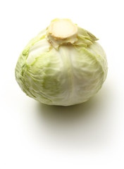 Single green head of cabbage