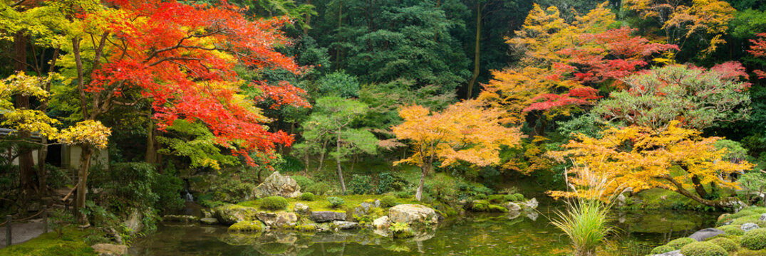 Japanischer Garten im Herbst