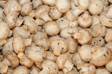 Champignons
