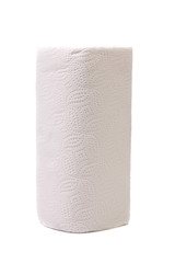 Paper towel roll