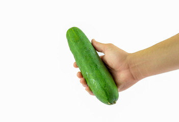Fresh Cucumber