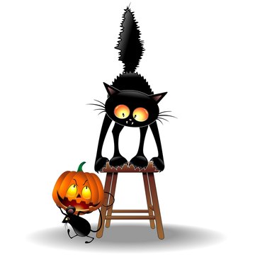 Scared Cat and Halloween Mouse-Gatto con Topolino e Zucca