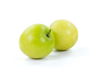 Jujube or monkey apple