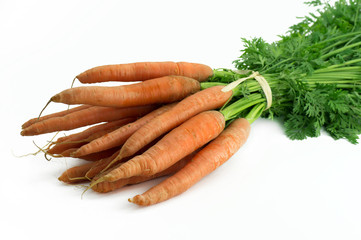 botte de carottes et fanes 1