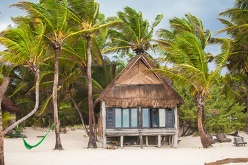 Tropical beach house on ocean shore among palm trees