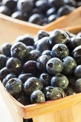 Group of Organic Blueberries