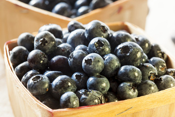 Group of Organic Blueberries
