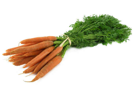 botte de carottes et fanes 3