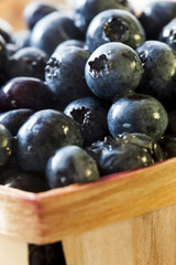 Group of Organic Blueberries