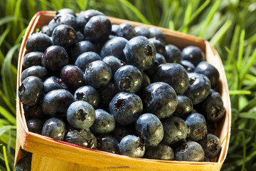 Group of Organic Blueberries