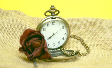 watch and dead rose