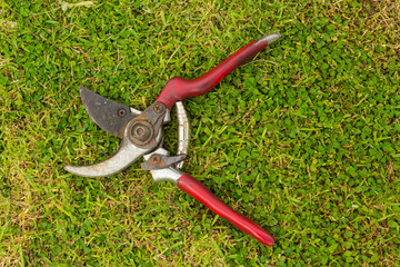 pliers gardening tool