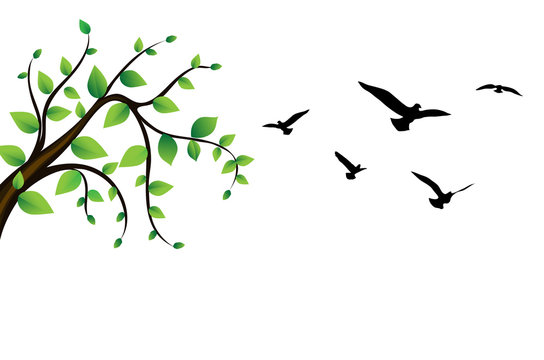 bird flying around a tree green branch, vector