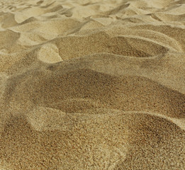Sand surface.