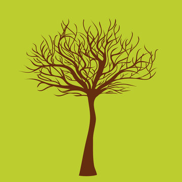 Tree without leafs, vector illustration