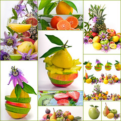 Kreative, gesunde Sommer-Küche / Früchte / Collage