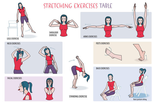 Stretching Exercises Table