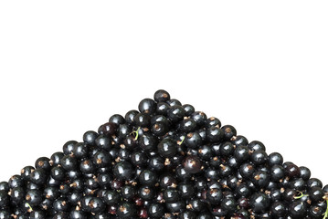 A bunch of black currant isolated on a white background.