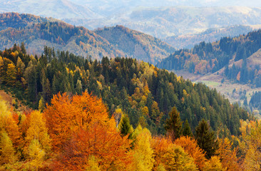 autumn
