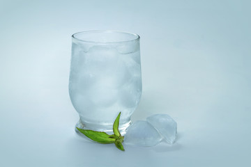 Tonic with ice and mint
